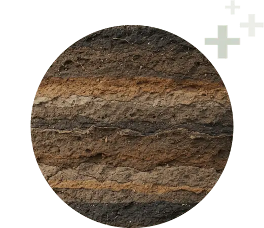 Healthy soil layers