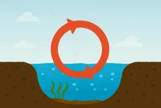 Biological water restoration