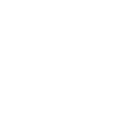 Velocity Green white icon