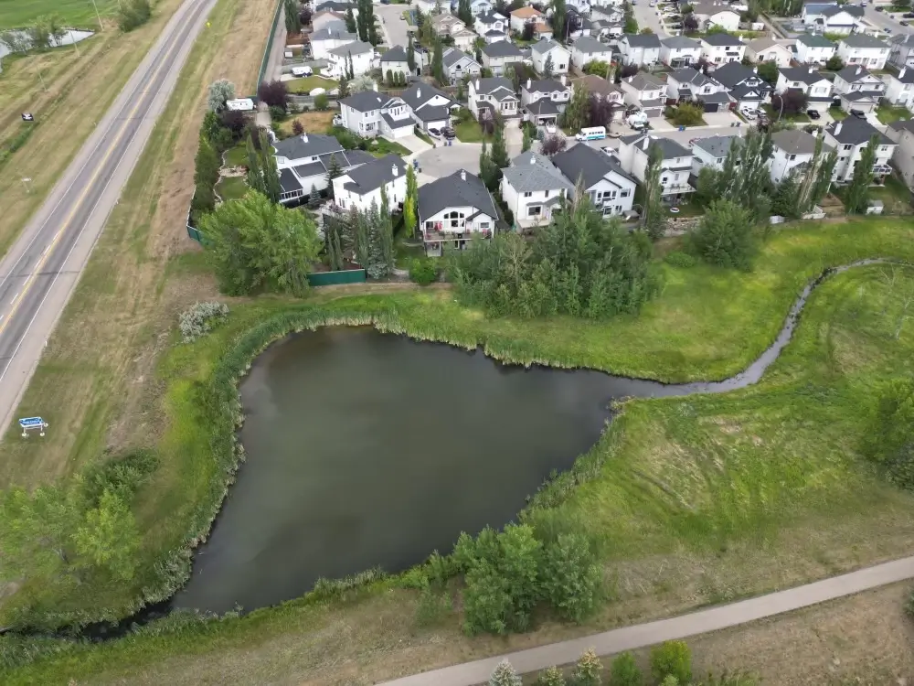 Water after A*live Pond treatment