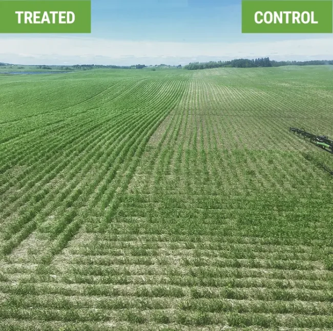 In the field row difference